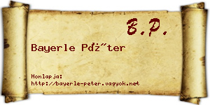 Bayerle Péter névjegykártya