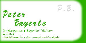 peter bayerle business card